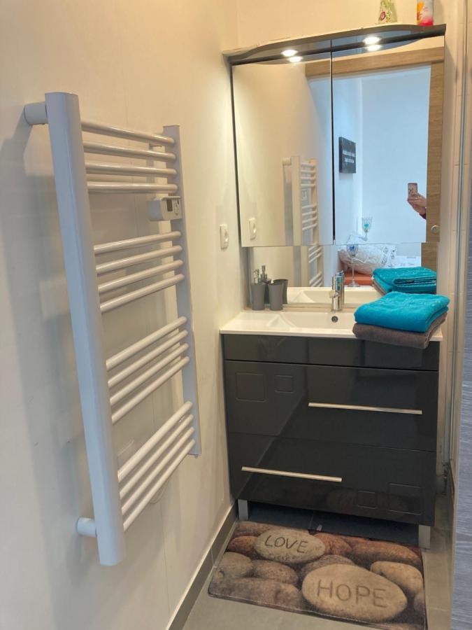 Bel Appartement T2 Climatise Avec Piscine Poitiers-Futuroscope-Creps De Poitiers Vouneuil-sous-Biard Eksteriør billede