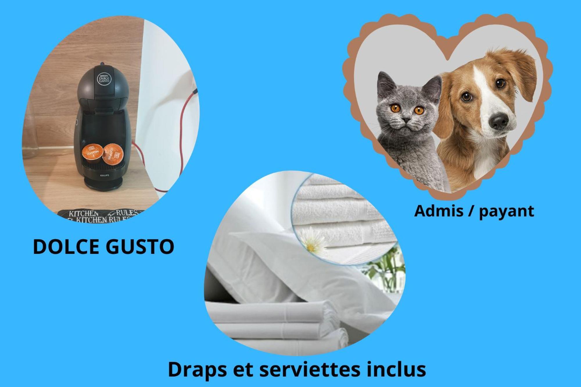 Bel Appartement T2 Climatise Avec Piscine Poitiers-Futuroscope-Creps De Poitiers Vouneuil-sous-Biard Eksteriør billede
